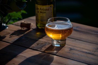 Tasting of fresh apple cider brut produced on organic farm from bio apples in Normandy, France with apple tree on background