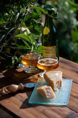 Cheese pairing with drinks,  parmigiano reggiano or parmesan cheese and French apple cider served outdoor in garden