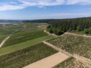 Aerial view on green Chablis Grand Cru appellation vineyards with grapes growing on limestone and marl soils, Burdundy, France
