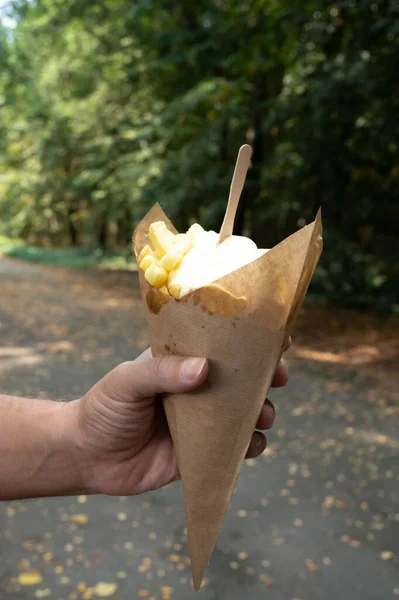 Traditional street food in Belgium and Netherlands, French fried potatoes chips with mayonnaise sauce in paper cone bag