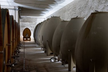 Stages of wine production from fermentation to bottling, visit to wine cellars in Cote d'Or, Burgundy, France, Aging in concrete eggs vats.