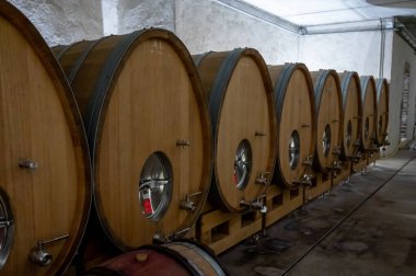 Stages of wine production from fermentation to bottling, visit to wine cellars in Cote d'Or, Burgundy, France, Aging in wooden barrels.