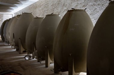 Stages of wine production from fermentation to bottling, visit to wine cellars in Cote d'Or, Burgundy, France, Aging in concrete eggs vats.