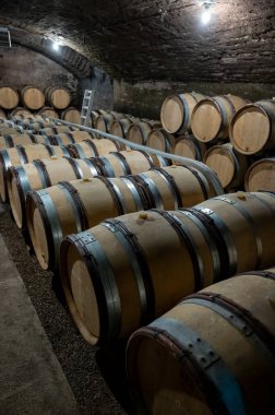 Stages of wine production from fermentation to bottling, visit to wine cellars in Cote d'Or, Burgundy, France, Aging in wooden barrels.