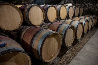 Stages of wine production from fermentation to bottling, visit to wine cellars in Cote d'Or, Burgundy, France, Aging in wooden barrels.