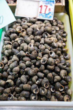 İspanya 'da balık pazarında taze balık, deniz kabuğu ve yumuşakçalardan oluşan çeşitli taze günlük avlar.