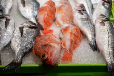 İspanya 'da balık pazarında taze balık, deniz kabuğu ve yumuşakçalardan oluşan çeşitli taze günlük avlar.