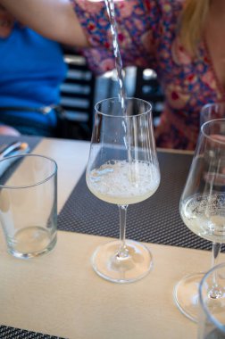 Landscape with vineyards and houses near beaujolais wine making village Val dOingt, gateway to Beaujolais Wine Route and hilly landscapes of the Pierres Dores, France