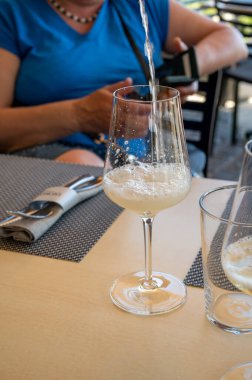 Landscape with vineyards and houses near beaujolais wine making village Val dOingt, gateway to Beaujolais Wine Route and hilly landscapes of the Pierres Dores, France