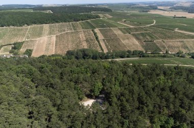 Aerial view on green Chablis Grand Cru appellation vineyards with grapes growing on limestone and marl soils, Burdundy, France