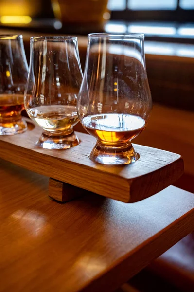 Flight Single Malt Scotch Whisky Glasses Served Bar Edinburgh Tasting — Foto Stock