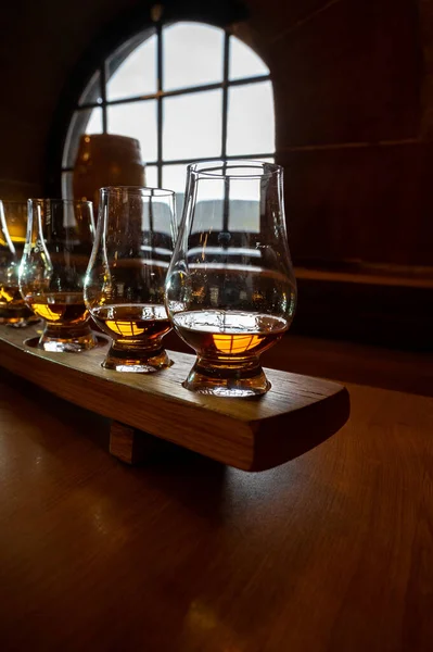 Flight Single Malt Scotch Whisky Glasses Served Bar Edinburgh Tasting — 스톡 사진