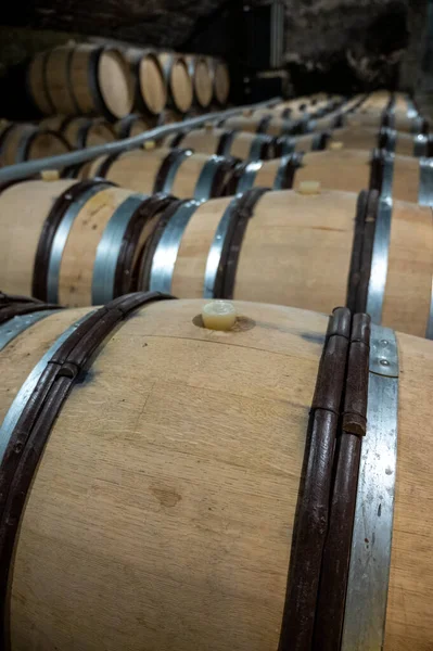 Stages of wine production from fermentation to bottling, visit to wine cellars in Cote d'Or, Burgundy, France, Aging in wooden barrels.