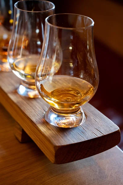 Flight Single Malt Scotch Whisky Glasses Served Bar Edinburgh Tasting — 스톡 사진