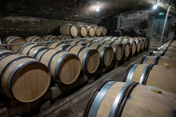 Stages Wine Production Fermentation Bottling Visit Wine Cellars Cote Burgundy — ストック写真