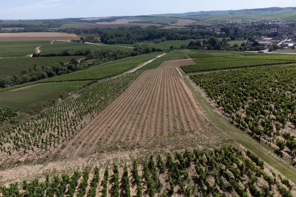 Aerial View Green Chablis Grand Cru Appellation Vineyards Grapes Growing — Stock Photo, Image