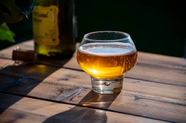 Tasting of fresh apple cider brut produced on organic farm from bio apples in Normandy, France with apple tree on background