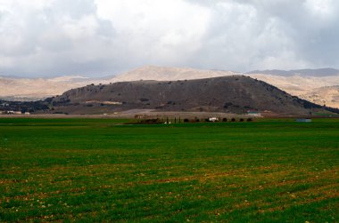 Zafarraya kasabası yakınlarındaki tarım vadisinde panoramik manzara sebze, yeşil marul salatası, lahana, enginar, Endülüs, İspanya