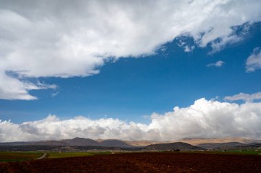 Zafarraya kasabası yakınlarındaki tarım vadisinde panoramik manzara sebze, yeşil marul salatası, lahana, enginar, Endülüs, İspanya