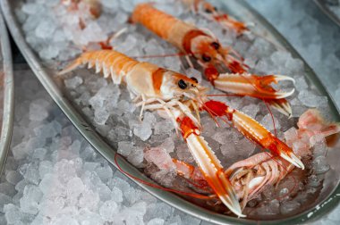 Fresh crayfishes with claws from river on ice in restaurant