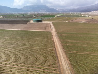 Yeşil salatalı tarlalar. Zafarraya kasabası yakınlarındaki tarım vadisinde hava manzarası sebze, yeşil marul salatası, lahana, enginar, Endülüs, İspanya