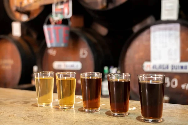 Tasting Different Sweet Wines Wooden Barrels Old Bodega Wine Bar — 스톡 사진