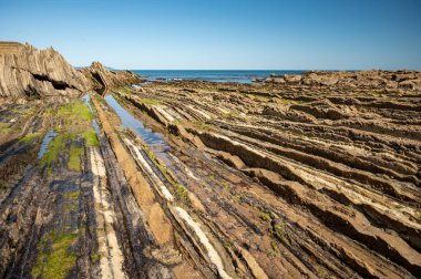 Zumaia 'nın Atlantik kıyısındaki alçak gelgitte, İspanya' nın Bask Bölgesi 'nde dik eğimli sinek jeolojik oluşumuna bakın.