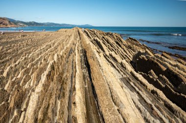 Zumaia 'nın Atlantik kıyısındaki alçak gelgitte, İspanya' nın Bask Bölgesi 'nde dik eğimli sinek jeolojik oluşumuna bakın.