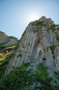 Zumaia 'nın Atlantik kıyısındaki alçak gelgitte, İspanya' nın Bask Bölgesi 'nde dik eğimli sinek jeolojik oluşumuna bakın.