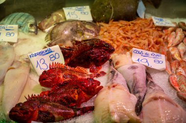 İspanya 'da balık pazarında taze balık, deniz kabuğu ve yumuşakçalardan oluşan çeşitli taze günlük avlar.