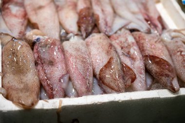 İspanya 'da balık pazarında taze balık, deniz kabuğu ve yumuşakçalardan oluşan çeşitli taze günlük avlar.