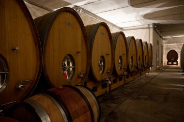 Stages of wine production from fermentation to bottling, visit to wine cellars in Cote d'Or, Burgundy, France, Aging in wooden barrels.