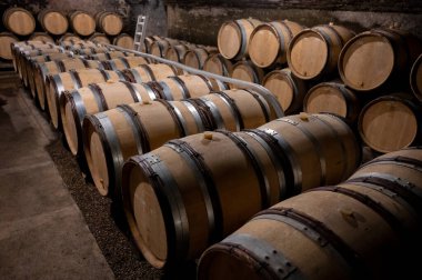 Stages of wine production from fermentation to bottling, visit to wine cellars in Cote d'Or, Burgundy, France, Aging in wooden barrels.