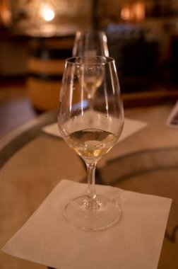 White wine tasting in underground cellars caves of French wine domain in Puligny-Motrachet village, Burgundy, France