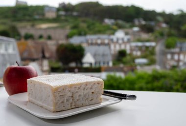Calvados departmanından Fransız kare pont l 'eveque inek peyniri yeşil ağaçlara ve Normandiya, Fransa' daki eski evlere elma ve manzarayla servis edilir.