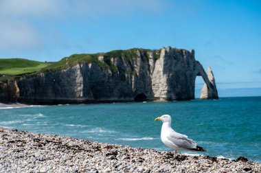 Tebeşir kayalıkları, Atlantik okyanusu ve Fransa 'nın Normandiya eyaletindeki Porte d' Aval kemerindeki panoramik manzara. Turistler için tatil yeri.