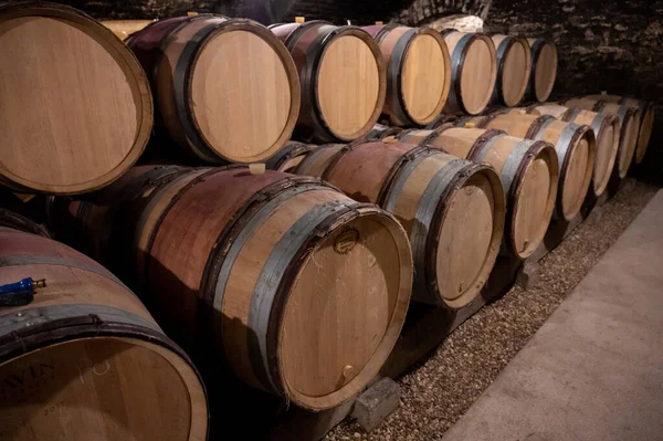 Stages Wine Production Fermentation Bottling Visit Wine Cellars Cote Burgundy — Stock Photo, Image