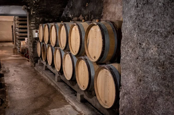 Stages Wine Production Fermentation Bottling Visit Wine Cellars Cote Burgundy — Stok fotoğraf
