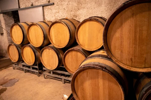 Stages Wine Production Fermentation Bottling Visit Wine Cellars Cote Burgundy — Zdjęcie stockowe