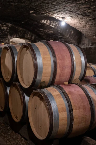 Stages Wine Production Fermentation Bottling Visit Wine Cellars Cote Burgundy — Stock Fotó