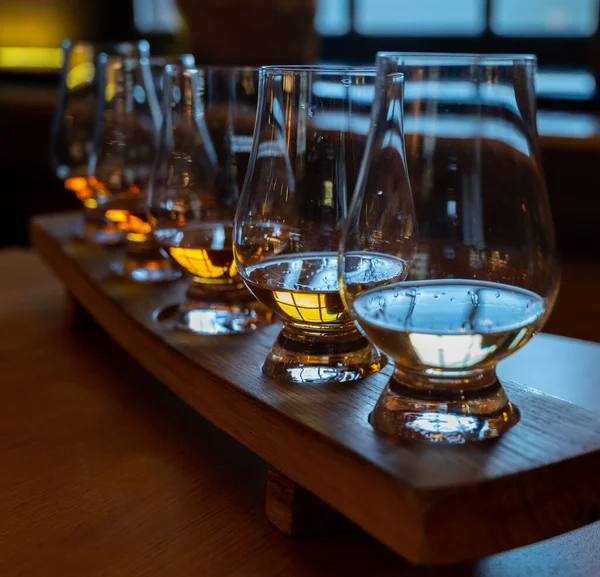 Flight Single Malt Scotch Whisky Glasses Served Bar Edinburgh Tasting — Stock fotografie