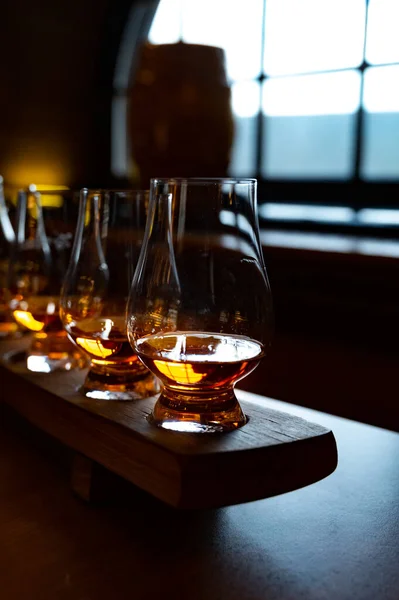 Flight Single Malt Scotch Whisky Glasses Served Bar Edinburgh Tasting — Foto de Stock