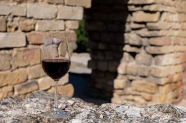 Fransa 'nın Beaujolais bölgesinin güneyinde sarı taştan evler bulunan Pierres Dores bölgesinde şarap üreticisinin kırmızı şarabını tatmak.