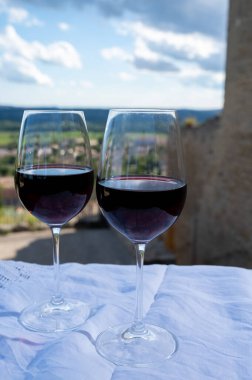 Fransa 'nın Beaujolais bölgesinin güneyinde sarı taştan evler bulunan Pierres Dores bölgesinde şarap üreticisinin kırmızı şarabını tatmak.