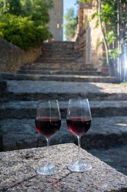 Fransa 'nın Beaujolais bölgesinin güneyinde sarı taştan evler bulunan Pierres Dores bölgesinde şarap üreticisinin kırmızı şarabını tatmak.