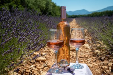 Valensiya yakınlarındaki çiçek açan mor lavanta çiçeği tarlaları ve güneşli bir günde cam ve bir şişe gül şarabı, Fransa 'nın Provence şehrinde yaz tatili