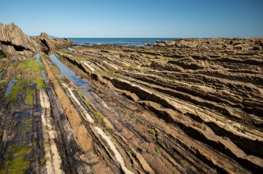 Zumaia 'nın Atlantik kıyısındaki alçak gelgitte, İspanya' nın Bask Bölgesi 'nde dik eğimli sinek jeolojik oluşumuna bakın.