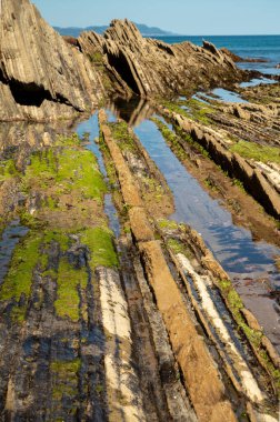 Zumaia 'nın Atlantik kıyısındaki alçak gelgitte, İspanya' nın Bask Bölgesi 'nde dik eğimli sinek jeolojik oluşumuna bakın.