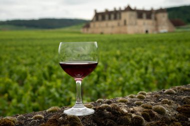 Mağaraları ziyaret edin ve Burgundy 'de şarap üreten ve arka planda şatosu olan bir bölge olan Burgundy' deki büyük ve büyük cru üzüm bağlarında cam şarap tadında kırmızı Pinot şarabı tatın.