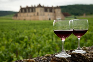 Mağaraları ziyaret edin ve Burgundy 'de şarap üreten ve arka planda şatosu olan bir bölge olan Burgundy' deki büyük ve büyük cru üzüm bağlarında cam şarap tadında kırmızı Pinot şarabı tatın.
